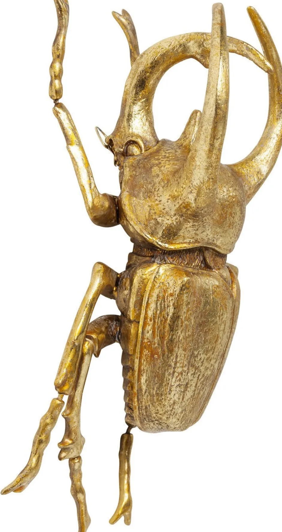 Dekoracja ścienna Atlas Beetle 26x35 Cm Złota*KARE Design Outlet