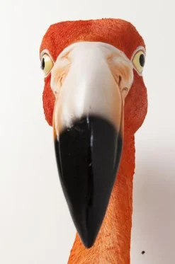 Dekoracja ścienna Flamingo Road 27x72 Cm*KARE Design Sale