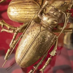 Dekoracja ścienna Longicorn Beetle 15x27 Cm Złota*KARE Design Best