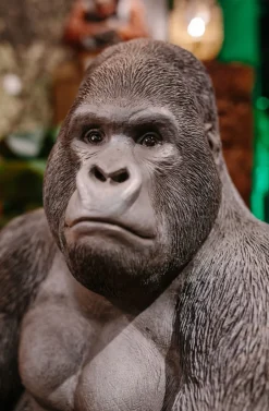 Dekoracja Stojąca Gorilla 60x76 Cm Ciemnoszara*KARE Design Best