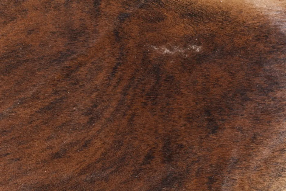 Dywan Hide 190x150 Cm Brązowo-biały*KARE Design New