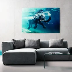Obraz Glass Swimming Elephant 180x120 Cm Kolorowy*KARE Design Online