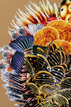 Obraz Kwadratowy Kolorowy Rama Czarna Z Aluminium 120x120 Cm*KARE Design
