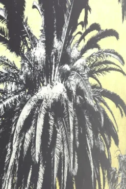 Obraz Metallic Palms 180x120 Cm*KARE Design Hot