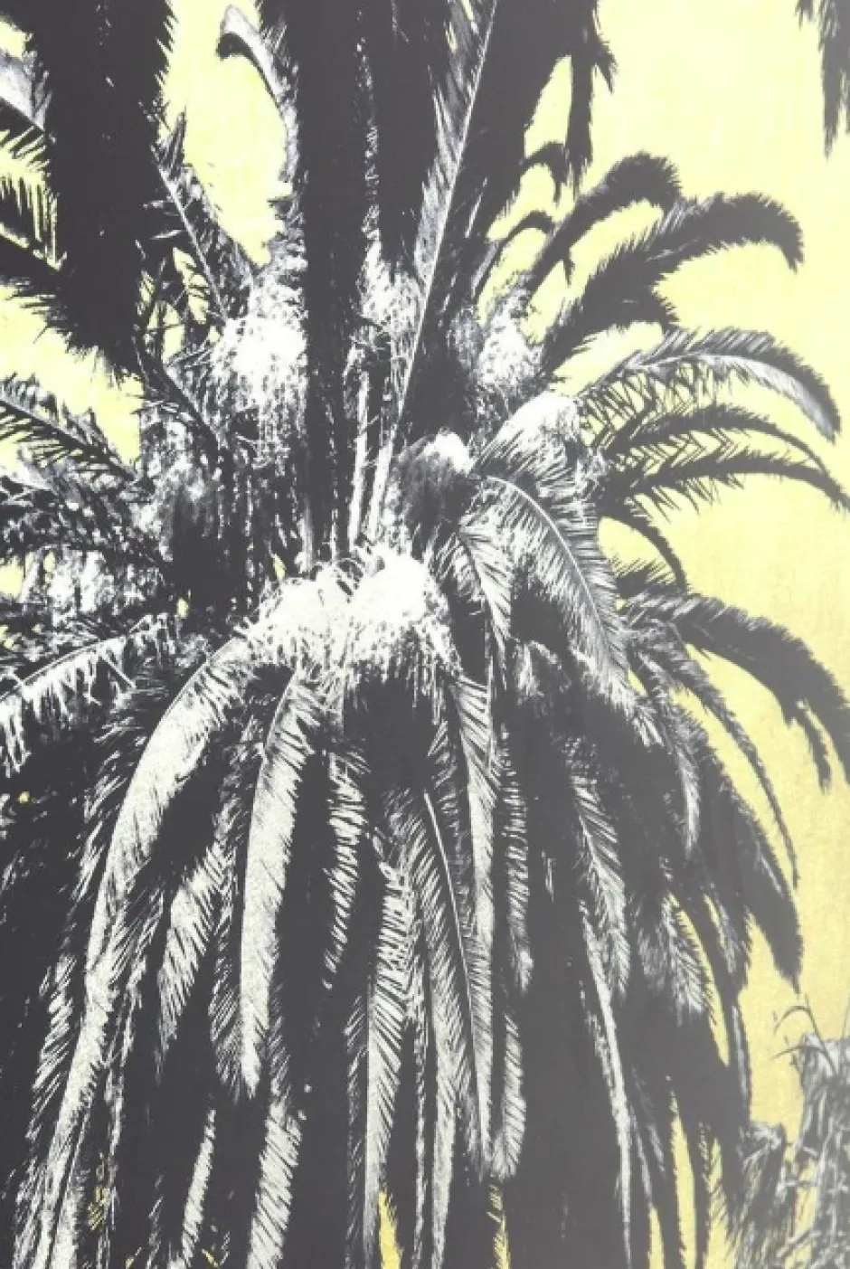 Obraz Metallic Palms 180x120 Cm*KARE Design Hot