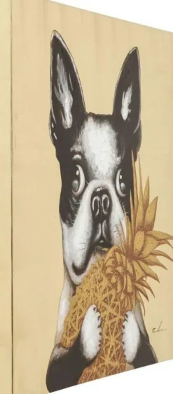 Obraz Touched Dog With Pineapple 80x80 Cm*KARE Design New