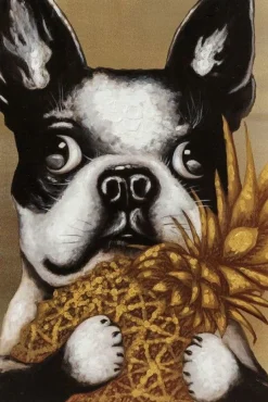 Obraz Touched Dog With Pineapple 80x80 Cm*KARE Design New
