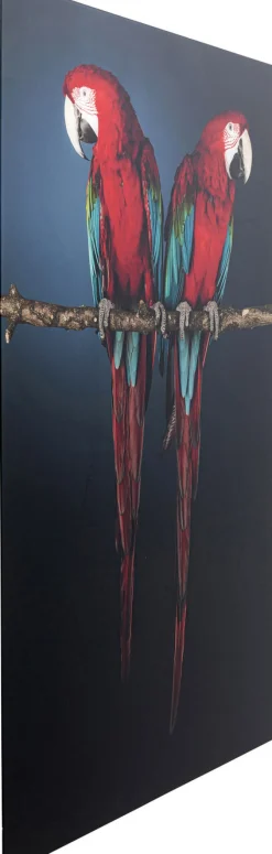 Obraz Twin Parrot 80x120 Cm*KARE Design Clearance