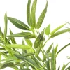 Roślina Dekoracyjna Bamboo Tree 200 Cm*KARE Design Best