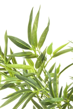 Roślina Dekoracyjna Bamboo Tree 200 Cm*KARE Design Best