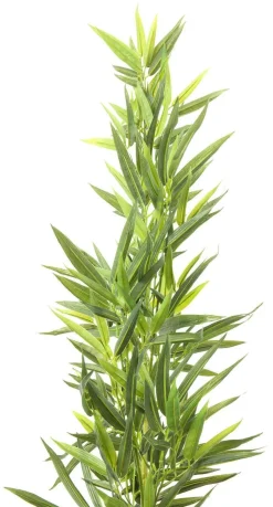 Roślina Dekoracyjna Bamboo Tree 200 Cm*KARE Design Best