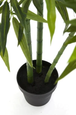 Roślina Dekoracyjna Bamboo Tree 200 Cm*KARE Design Best