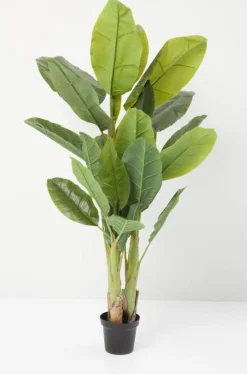 Roślina Dekoracyjna Banana Tree 180 Cm*KARE Design Online