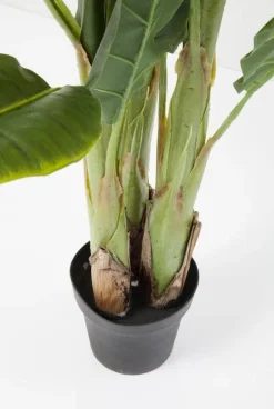 Roślina Dekoracyjna Banana Tree 180 Cm*KARE Design Online