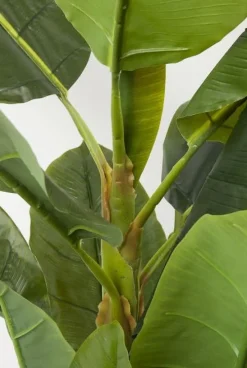 Roślina Dekoracyjna Banana Tree 180 Cm*KARE Design Online