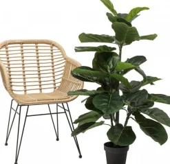 Roślina Dekoracyjna Fiddle Leaf 120 Cm*KARE Design Sale