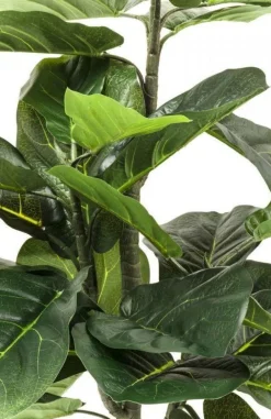 Roślina Dekoracyjna Fiddle Leaf 120 Cm*KARE Design Sale