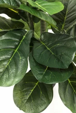 Roślina Dekoracyjna Fiddle Leaf 120 Cm*KARE Design Sale