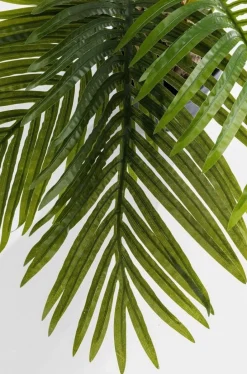 Roślina Dekoracyjna Palm Tree 190 Cm*KARE Design Sale