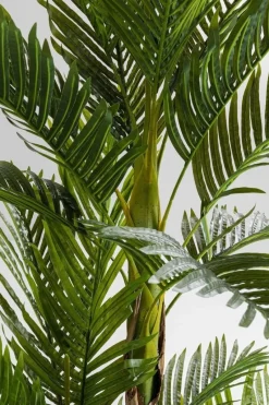 Roślina Dekoracyjna Palm Tree 190 Cm*KARE Design Sale