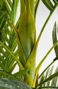 Roślina Dekoracyjna Palm Tree 190 Cm*KARE Design Sale