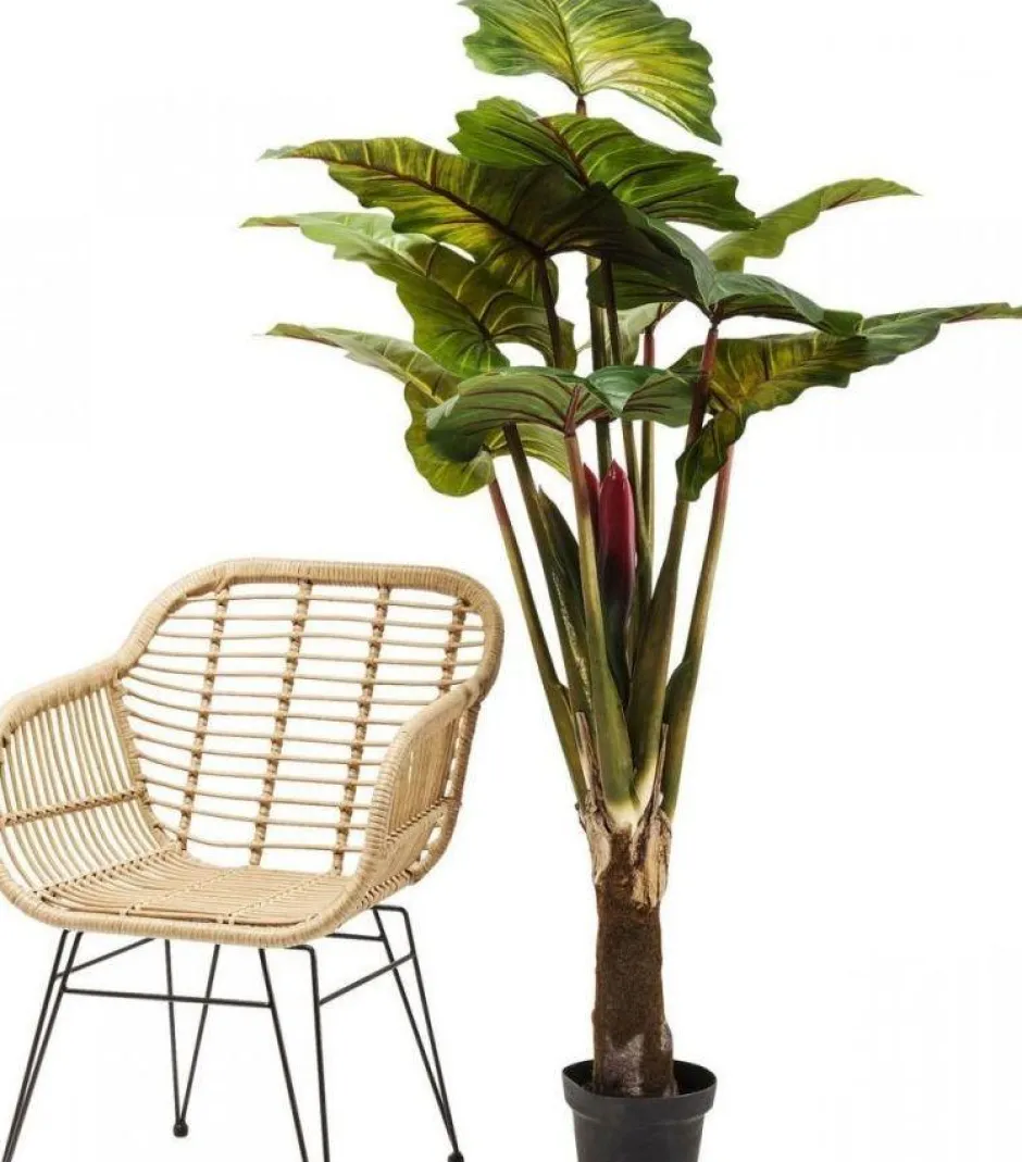 Roślina Dekoracyjna Rainforest Red 170 Cm Kolorowa*KARE Design Discount