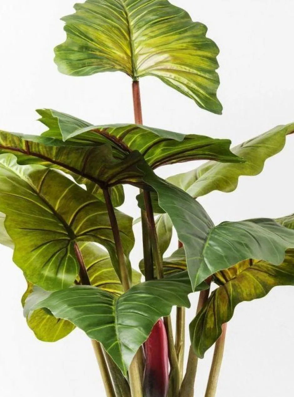 Roślina Dekoracyjna Rainforest Red 170 Cm Kolorowa*KARE Design Discount