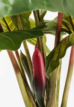 Roślina Dekoracyjna Rainforest Red 170 Cm Kolorowa*KARE Design Discount