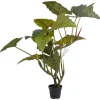 Roślina Dekoracyjna Toro 180 Cm*KARE Design Outlet