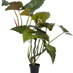 Roślina Dekoracyjna Toro 180 Cm*KARE Design Outlet