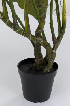 Roślina Dekoracyjna Toro 180 Cm*KARE Design Outlet