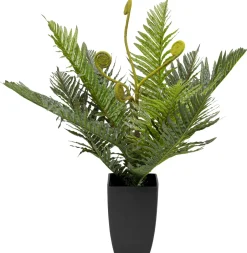 Roślina Sztuczna Do Salonu Paproć 55 Cm*KARE Design Best