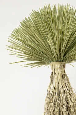 Roślina Sztuczna Wysoka Yucca Rostrata 240 Cm*KARE Design Discount