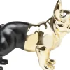 Skarbonka Bulldog 34x28 Cm Czarno-złota*KARE Design Best