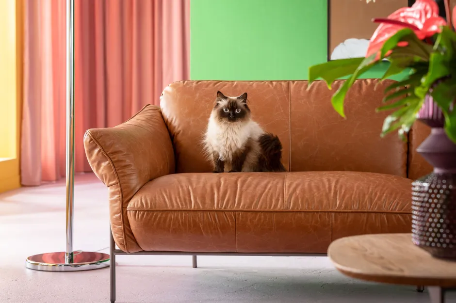 Sofa Ekskluzywna 3-osobowa Brązowa Skóra Semianilinowa Nogi Czarne 226 Cm*KARE Design Sale